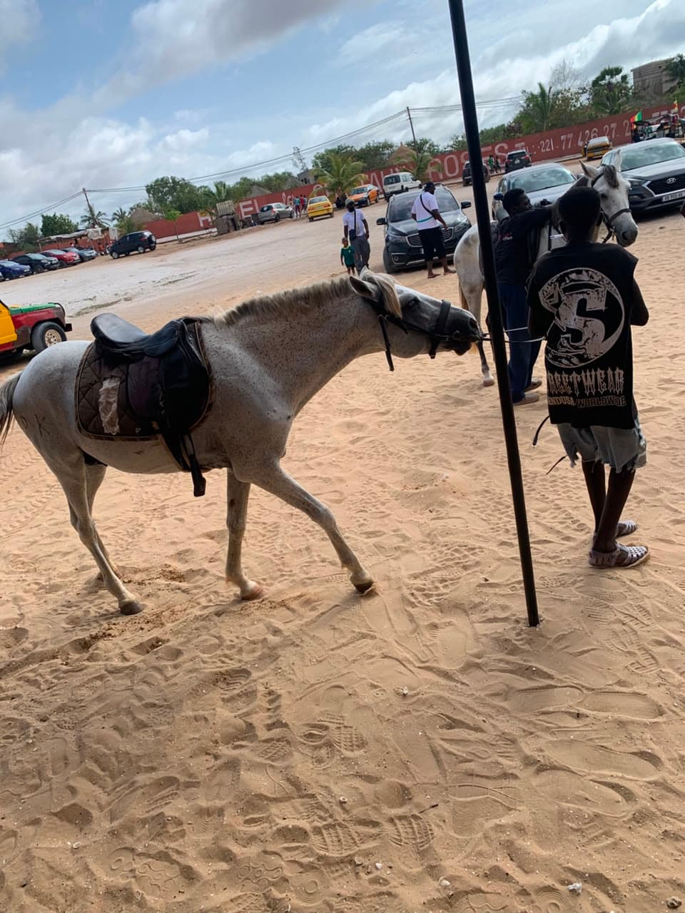 Balade à cheval — photo 2