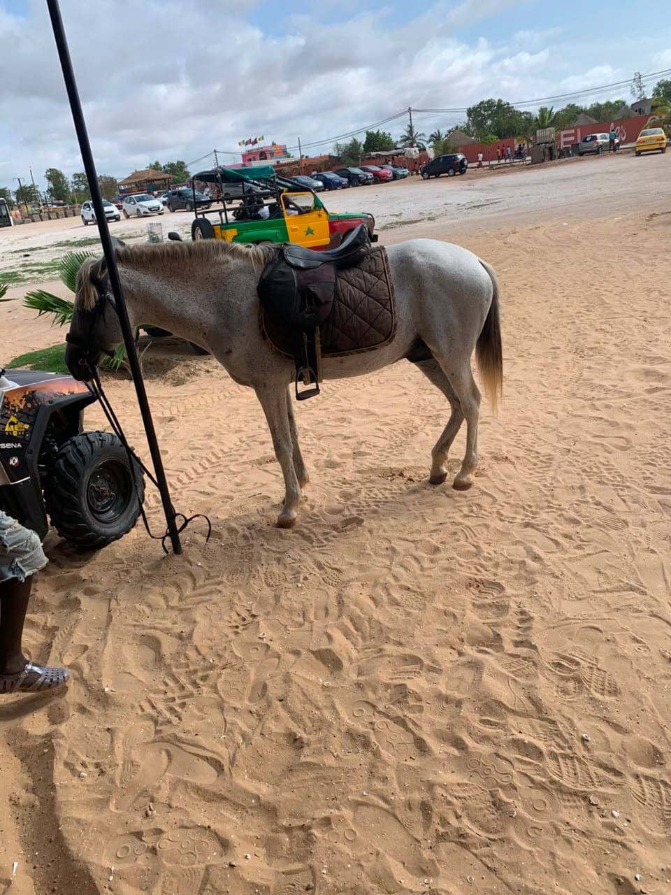 Balade à cheval — photo 3