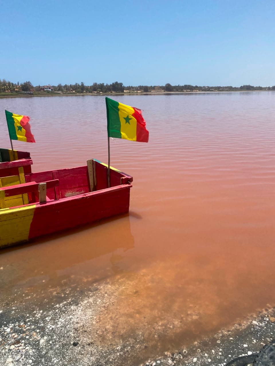 Balade en pirogue — photo 7